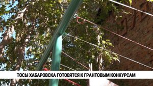 ТОСы Хабаровска готовятся к грантовым конкурсам