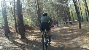 Пульс марафон 2025 8-я пятиминутка