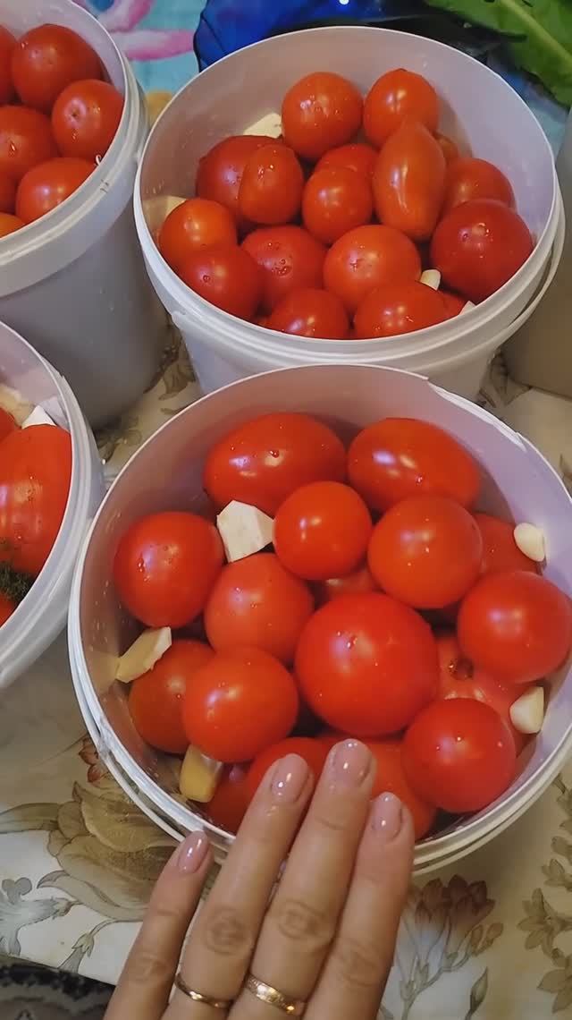 ВКУСНЫЕ БОЧКОВЫЕ ПОМИДОРЫ В ВЕДРЕ НА ЗИМУ 🍅🍅🍅💯👍 смотреть онлайн