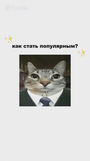 КОТИКИ ОБЪЯСНЯЮТ / Как стать Популярным? / Как накачаться за Месяц? / Как обучается ИИ?