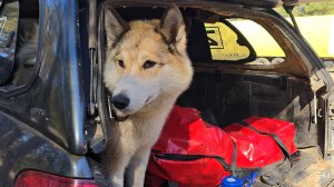 В сторону Финляндии