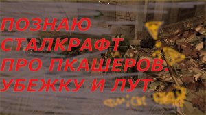 ПОЗНАЮ СТАЛКРАФТ ПРО ПКАШЕРОВ.УБЕЖКУ И ЛУТ 1
