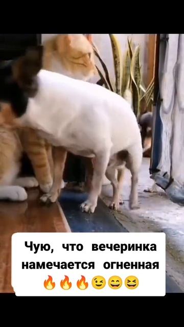 Заходите к нам на огонёк 💡