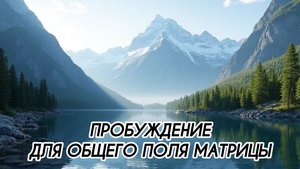 ПРОБУЖДЕНИЕ ДЛЯ ОБЩЕГО ПОЛЯ МАТРИЦЫ