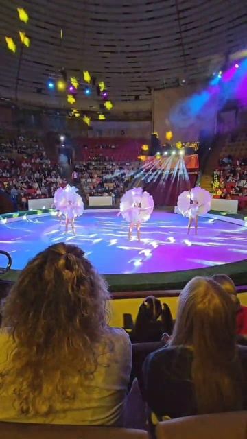 У нас снова Багир