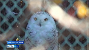 21:10 ВЕСТИ САХА 22/09/25 НА РУССКОМ ЯЗЫКЕ