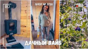 Дачный вайб | Собираем урожай | Что я сейчас читаю - ВЛОГ №3730 - 21.09.25