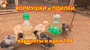 Кормушки и поилки для кур своими руками (194) 🪚✂️ Пошаговая инструкция как сделать 🐔 🐓❣️