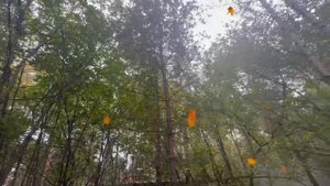 Участок 8 соток Кратово - Панфилова 27