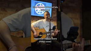 Егор Баранов (CosmoCats) - Одинокое сердце поэта (Рейд! cover)