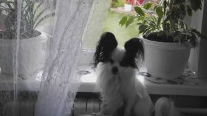 И   снова  здравствуйте !!! 🙋