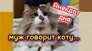 Анекдот дня.