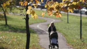 В Москве ожидают резкое похолодание после рекордной жары