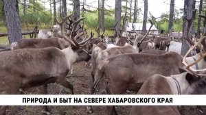 Природа и быт на севере Хабаровского края