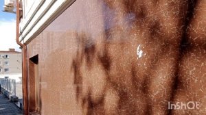 Я "Профи" в этом...Ейск, осень,лиман🌊