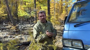 Осенняя тайга. Поискали изюбря