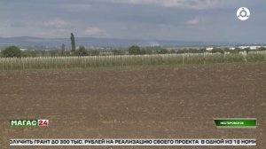 Щедрая земля Ингушетии: от плодов до зерна - всеё рекордных масштабов