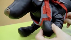 Шлейка для собак Ferplast Nikita