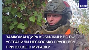 Замкомандира Кобылкин: ВС РФ устранили несколько групп ВСУ при входе в Муравку