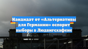 Кандидат от «Альтернативы для Германии» оспорит выборы в Людвигсхафене