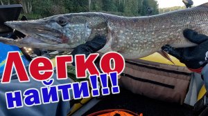 СЕГОДНЯ ПОЙМАЕМ ВСЕХ!!! ЩУКА, СУДАКИ И ОКУНИ!!! ГЛАВНОЕ НА ЧТО ЛОВИТЬ!!!