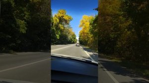 Осень 🍁🍁🍁