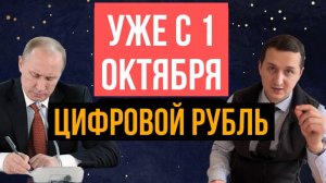 ПЛАТФОРМА ЦИФРОВОЙ РУБЛЬ / 平台 數碼 盧布 / PLATFORM DIGITAL RUBLE