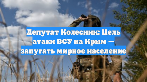 Депутат Колесник: Цель атаки ВСУ на Крым — запугать мирное население