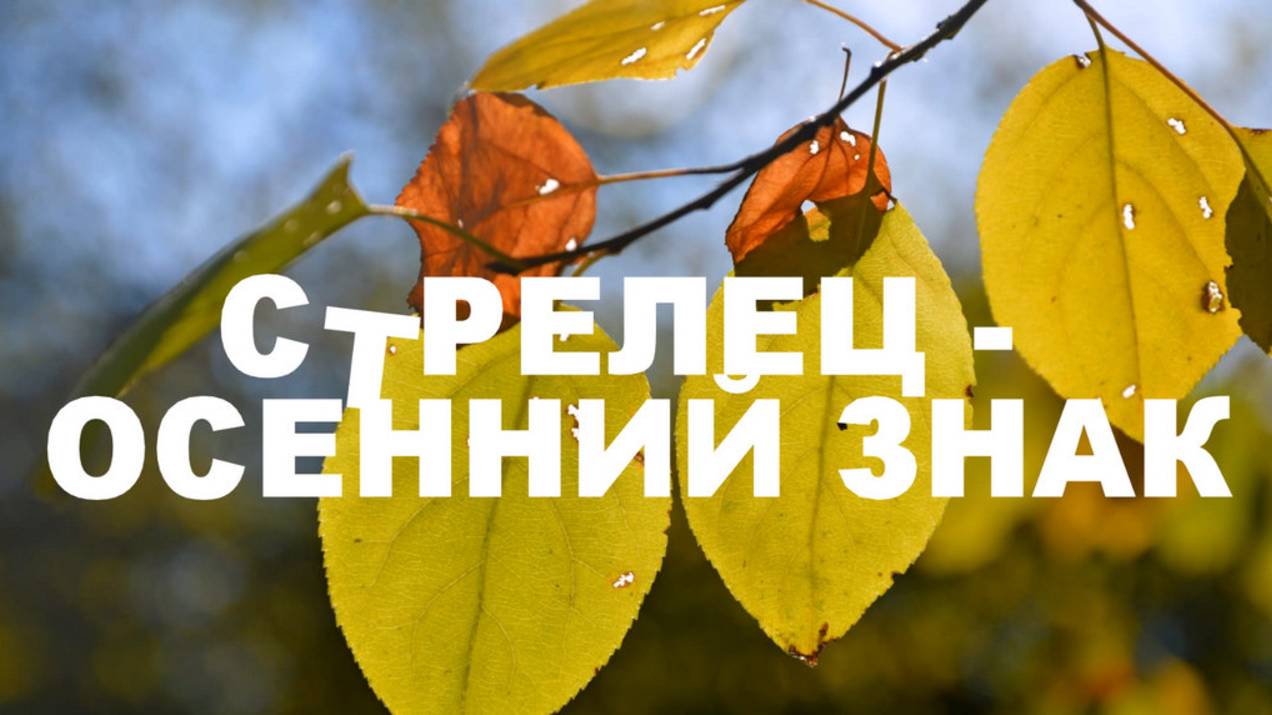 Стрелец и Осень😀😍