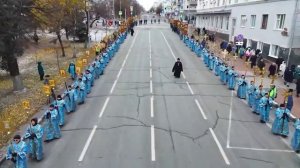 Крестный ход с Жадовской Казанской иконой Божией Матери. Сьёмка с высоты