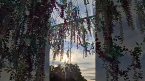 Прекрасный парк в Подмосковье🥰🏞Сентябрь2025