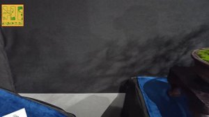 Бонсай выставка. Часть 2 и немного мимики.