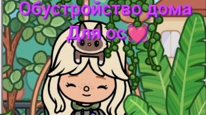 🍫Обустройство дома для ос 💓 Милка тока 🏠