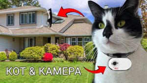 РЕАЛЬНЫЙ ДЕНЬ КОТА МАЛЫША! КОТ ГУЛЯЕТ С КАМЕРОЙ 24 ЧАСА ЧЕЛЛЕНДЖ А ну-ка Давай-ка