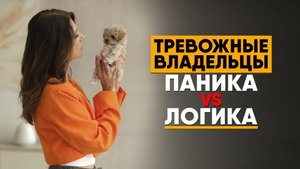 Щенок много спит или не ест? Когда бить тревогу и ехать к ветеринару