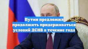 Путин предложил продолжить придерживаться условий ДСНВ в течение года