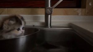 Пусть мама услышит, пусть мама придёт