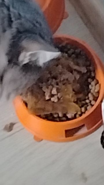 Рикииии смотреть онлайн