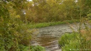 Зуша + Красивая Меча сентябрь 2024