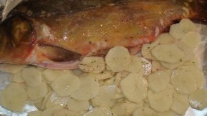 Карп в фольге с картошкой