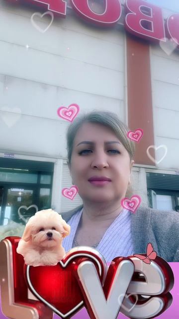 🔴САДОВОД,СТ-7-115,ДЖИНСЫ🔴 смотреть онлайн