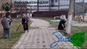 Управление Россельхознадзора присоединилось к Всероссийской акции «Зеленая Россия»