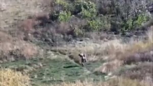 Русские своих не бросают! — в ДНР боец нёс раненого товарища 2,5 километра