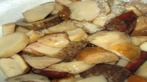 Маринованные белые грибы на зиму