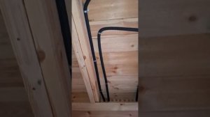 1000035204.mp4 (Собака смотрит на монтаж электропроводки в доме А-фрейм)