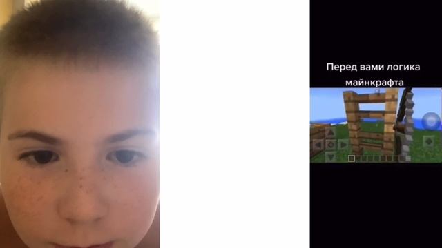 Логика майнкрафта смотреть онлайн