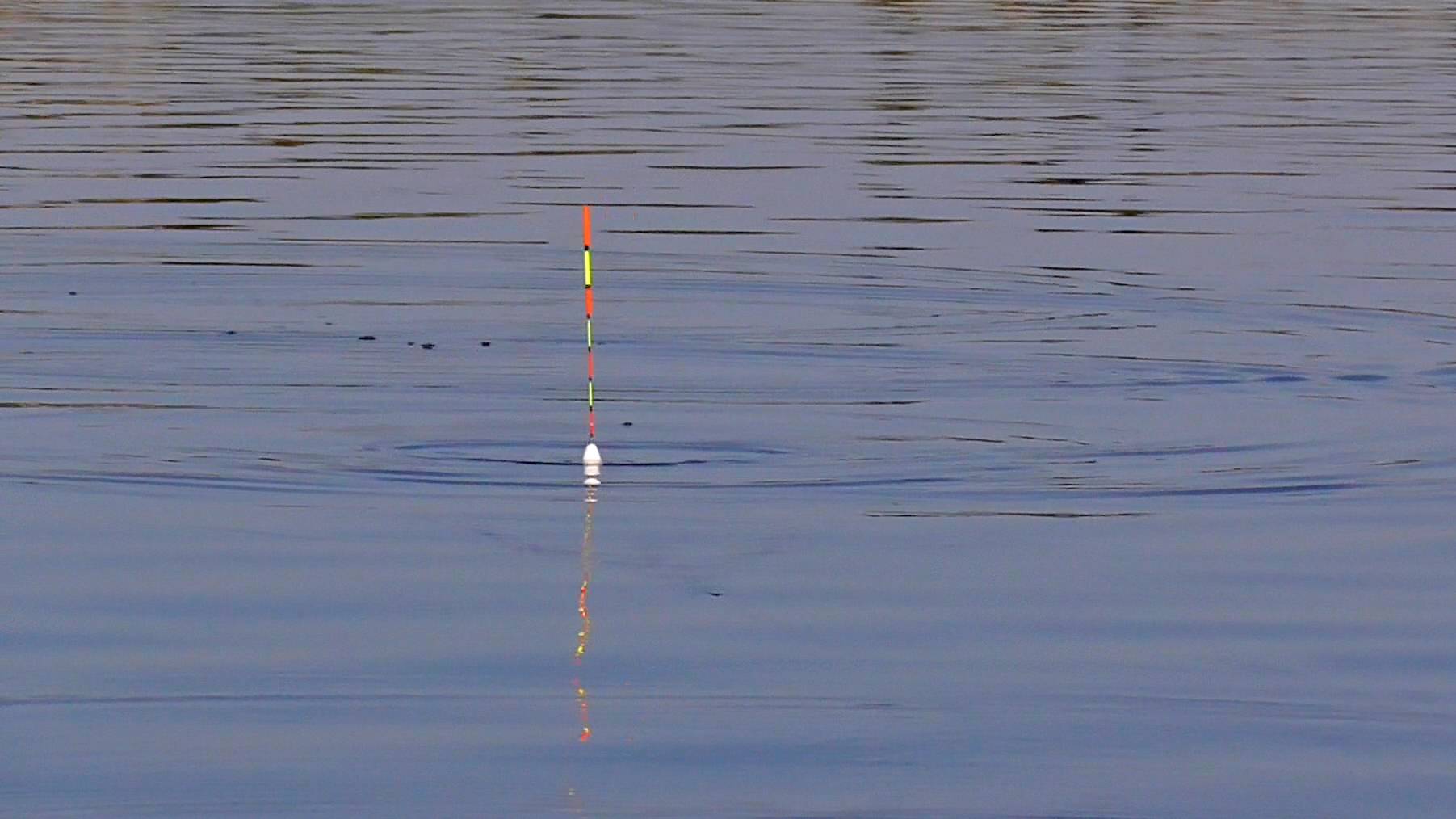 ОСЕННИЙ ЖОР РЫБЫ И РАКА НАЧАЛСЯ! УДАЧНАЯ ОСЕННЯЯ РЫБАЛКА! Рыбалка на поплавок на карася с берега смотреть онлайн