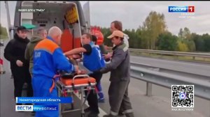 80-летняя нижегородка ушла за грибами и трое суток блуждала по лесу