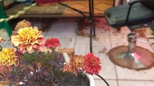 Погода неприятненькая! Я на кухне.