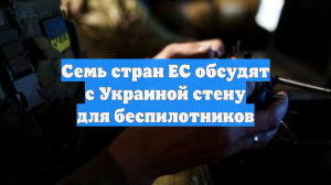 Семь стран ЕС обсудят с Украиной стену для беспилотников